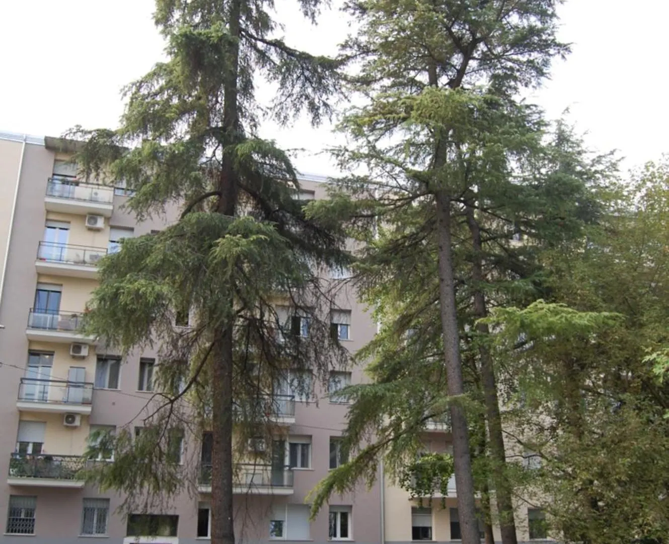 Orchidea Bed & Breakfast Bologna 0*,